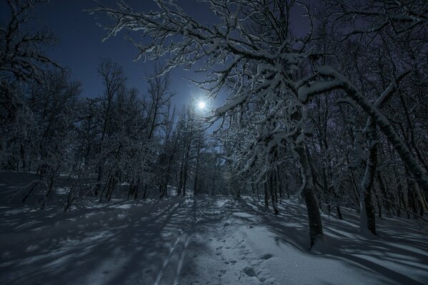Самое прекрасное это зимнее ночи