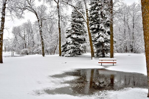 Mirror surface in the park