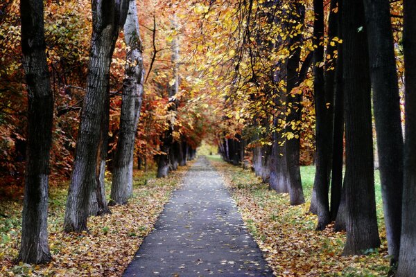 Moscow in autumn, nature landscape