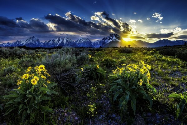 Grand Teton National Park, Wyoming