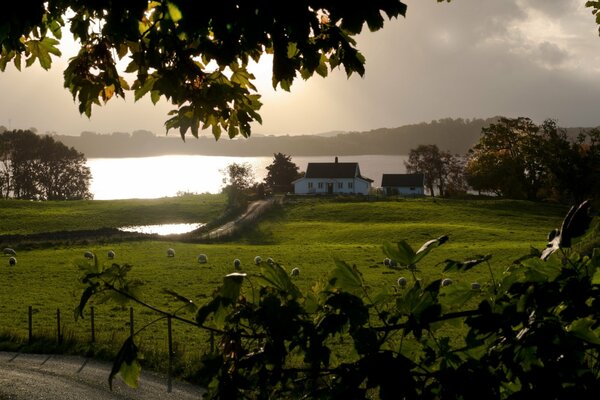 Sunrise. A house by the water, through the prism of the trees ahead