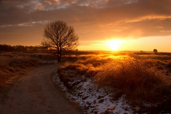 Puesta de sol en el camino nevado