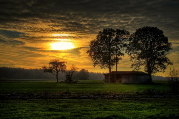 Schöner Sonnenuntergang über dem grünen Feld