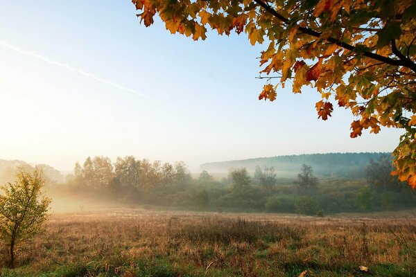 Niebla de la mañana en el campo de otoño