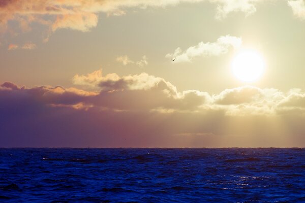 The sky with clouds over the sea with waves with the sun and a seagull