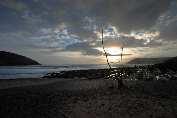 Bay at the sunny sunset beach