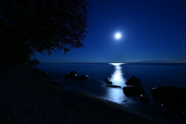 Camino lunar en el lago con piedras