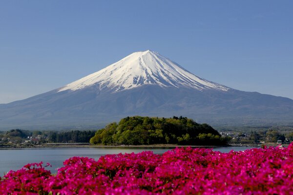 Japonia wspaniały widok na górę Fujiyama