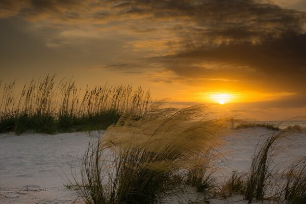 Floryda-wiatr na plaży o zachodzie słońca