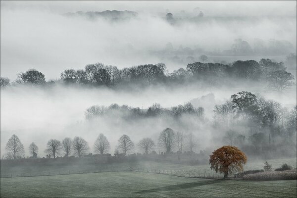 La vallée de Peucy dans le brouillard