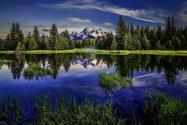 Mountains and trees reflected in the water