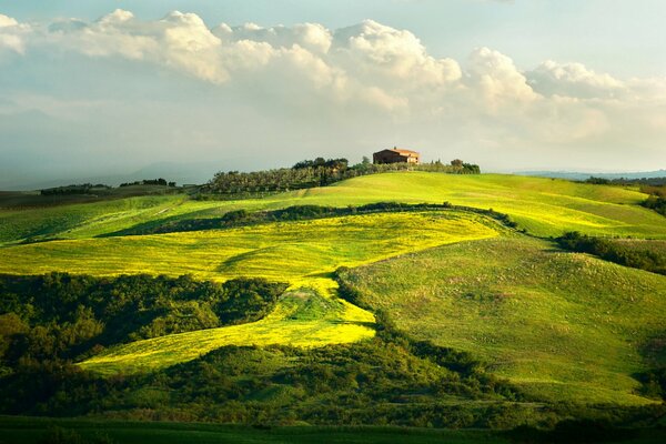 Tuscany in Italy, a house with a vineyard