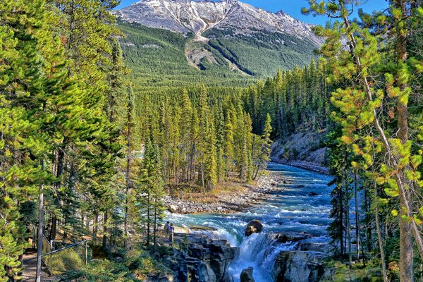 Incredibile paesaggio del Parco Nazionale del Canada