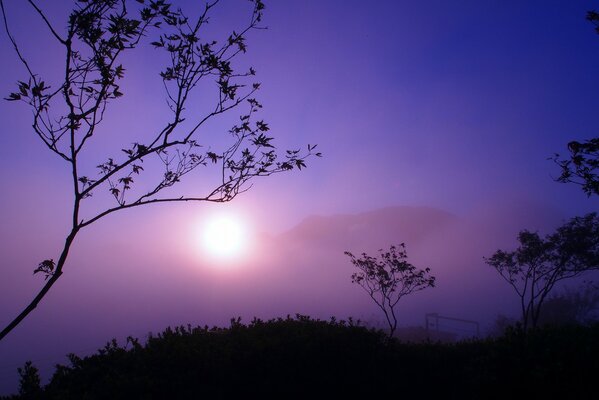 Twilight light of the setting sun