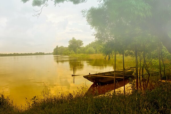 Misty forest with lake and boat