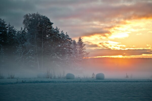 Schöner nordischer Winter in Schweden