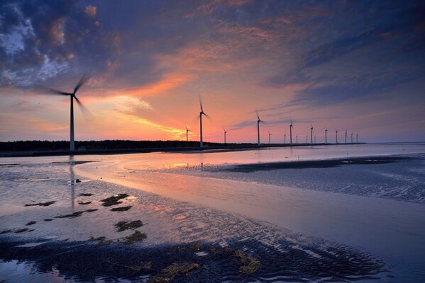 Molinos de viento durante el atardecer