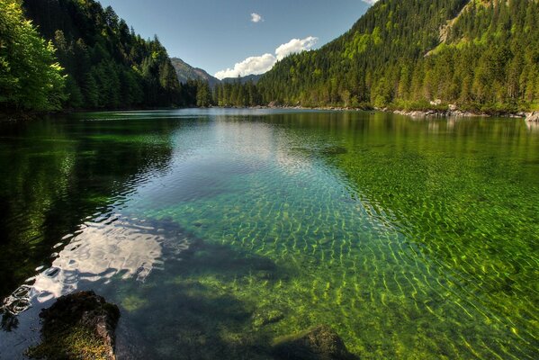 Transparent lake in the middle of the taiga