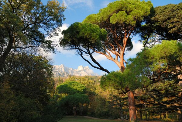 Beautiful nature in the mountains in Crimea