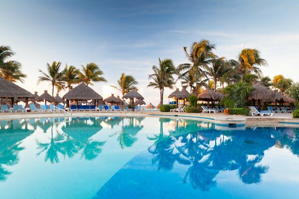 Clear water of the azure pool among palm trees