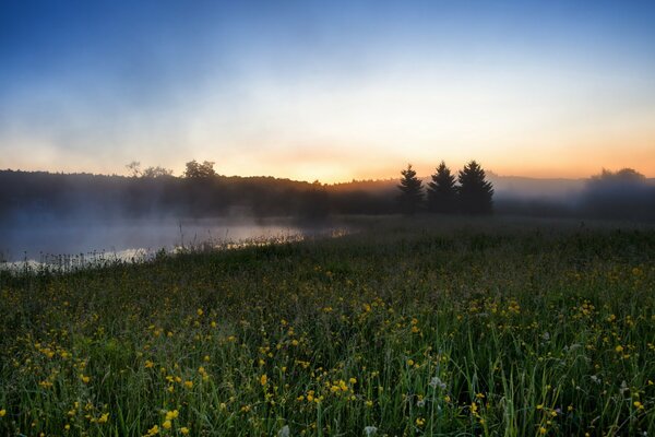 Río en un campo con niebla de la mañana, paisaje de visualización