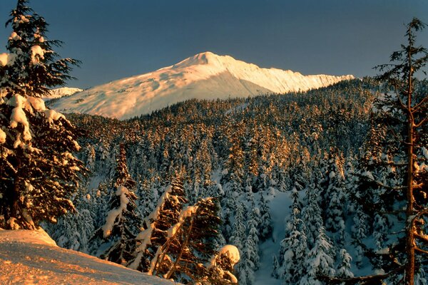 Paesaggio invernale con vista sulla foresta e sulla montagna