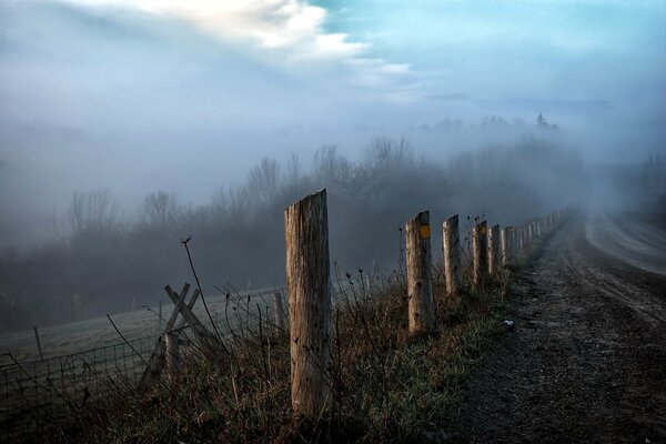 Rural road in the morning fog