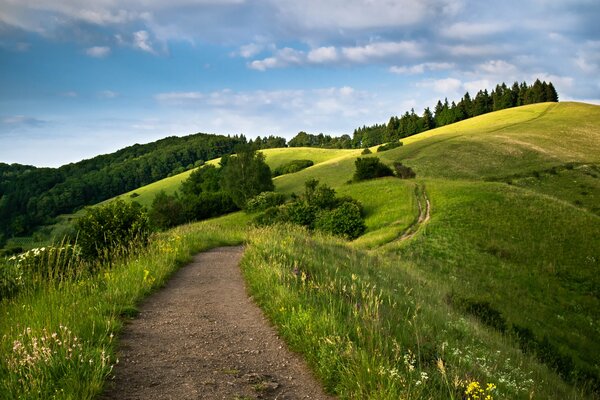 Strada di campo in lontananza