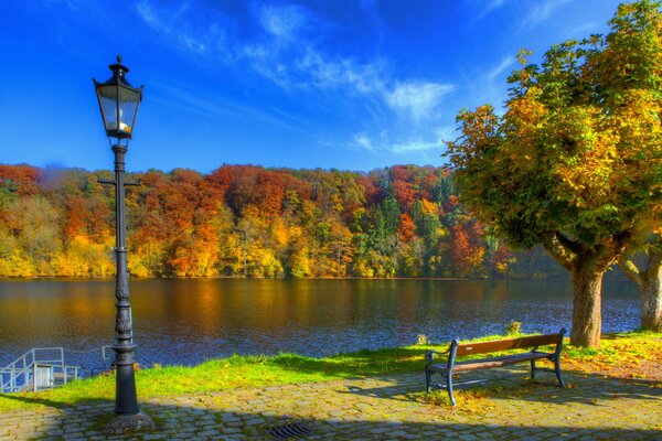 Foto de la naturaleza otoñal del parque de Alemania con linternas, árboles, banco