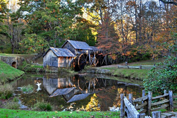 Watermill in the autumn forest