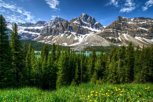 Blick auf den kanadischen Park auf die Berggipfel