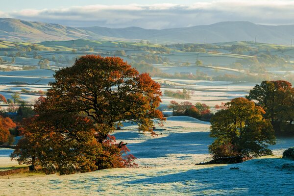 The first snow in late autumn