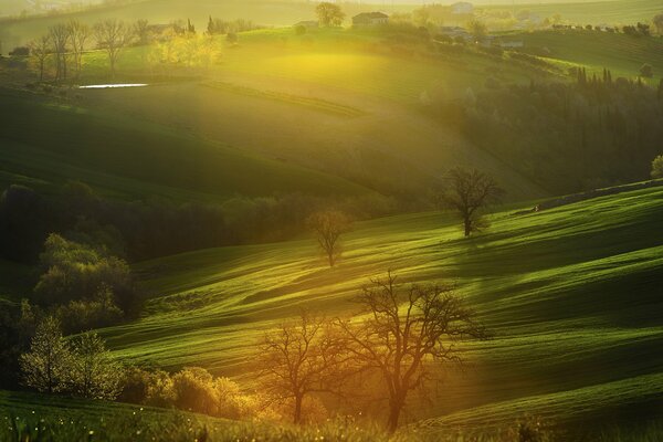 Morgen in Italien Blick auf ein Feld mit Hügeln und Bäumen