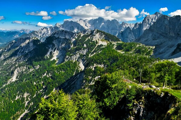 Rocky mountains with trees on a blue sky background