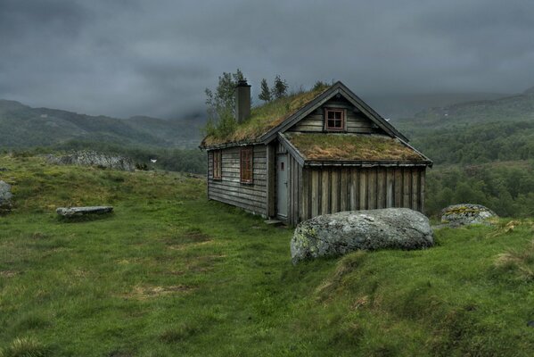 An abandoned house in a green landscape