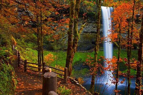 Waterfall in the red autumn forest