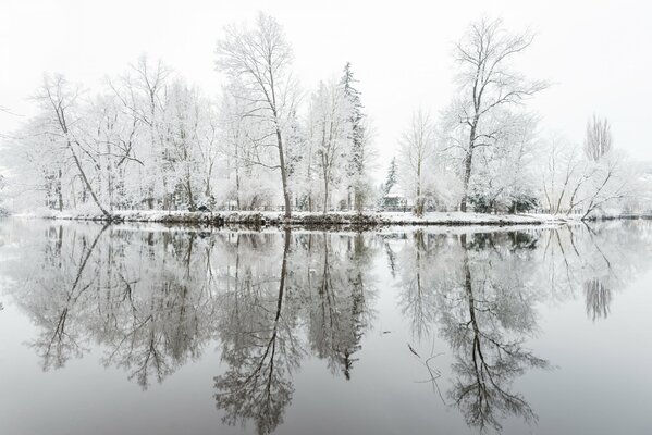 Arbres couverts de givre se reflètent dans l eau