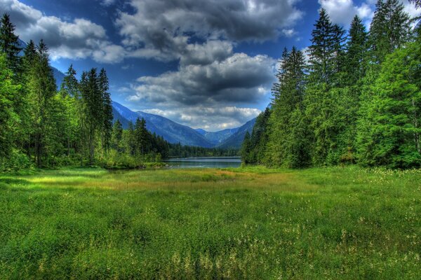 Mountain landscape with forest and clear clouds