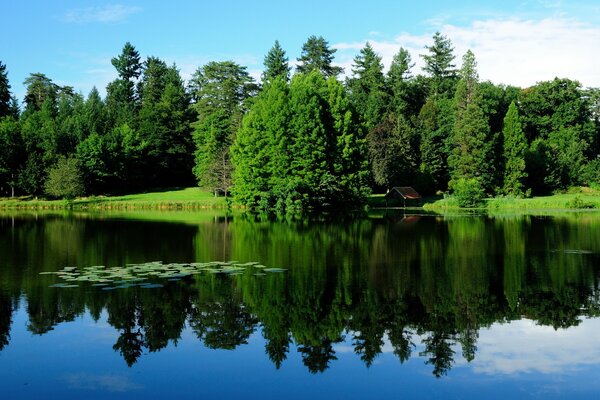 Verrückte Natur in Frankreich mit Seeblick