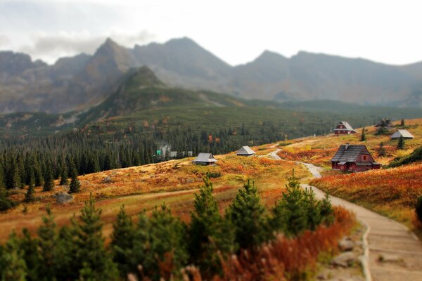 Slovak Republic Western Carpathians nature