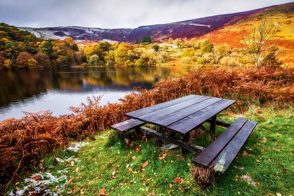 Jesienny krajobraz stół z ławkami na brzegu rzeki