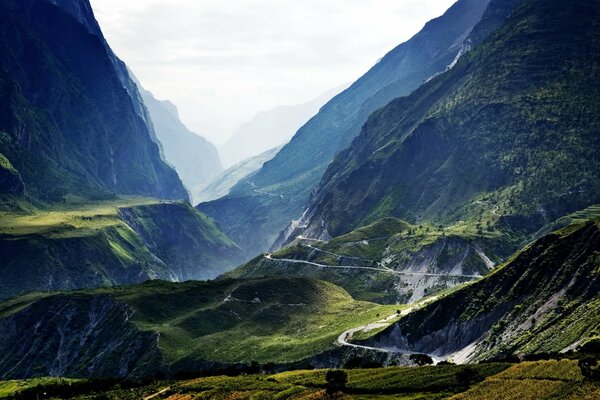 Stone serpentine on the background of the verdant landscapes of Tibet