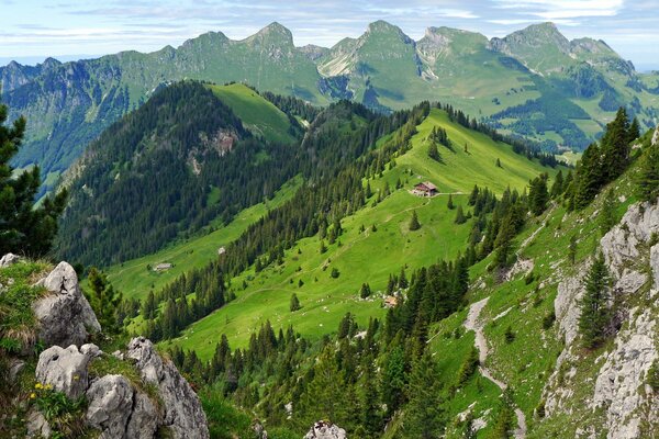 Домик в Швейцарских горах летом