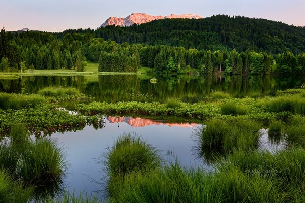 Lago de montaña en verano en clima cálido y tranquilo