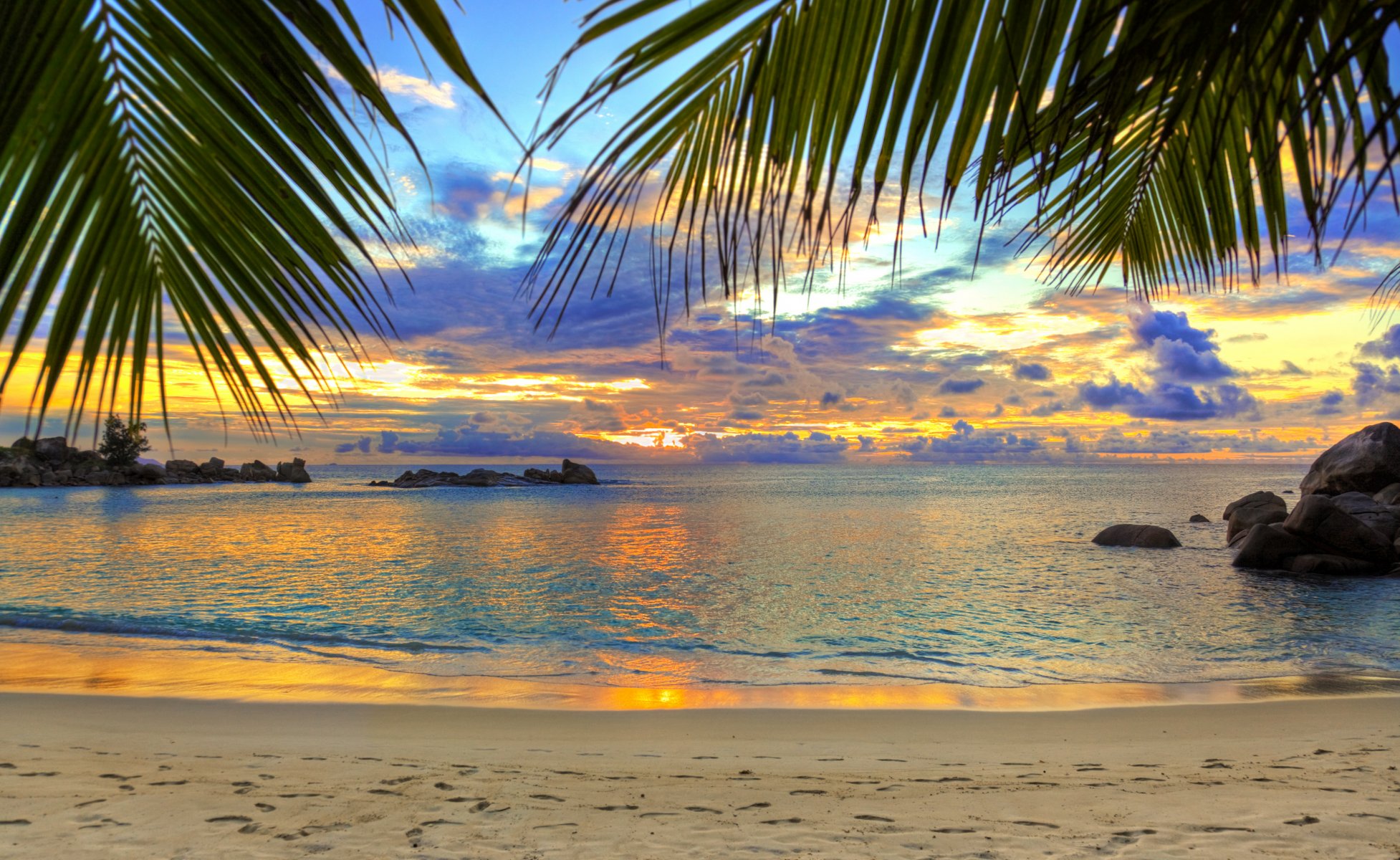 and beach traces sea palm stones sky clouds sunset