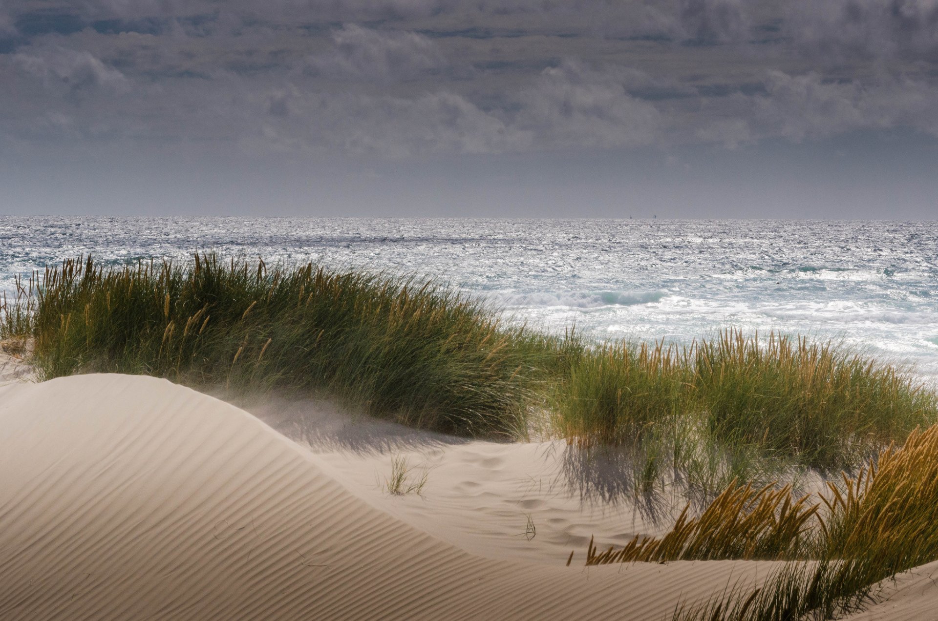 meer strand sand dünen vegetation wind