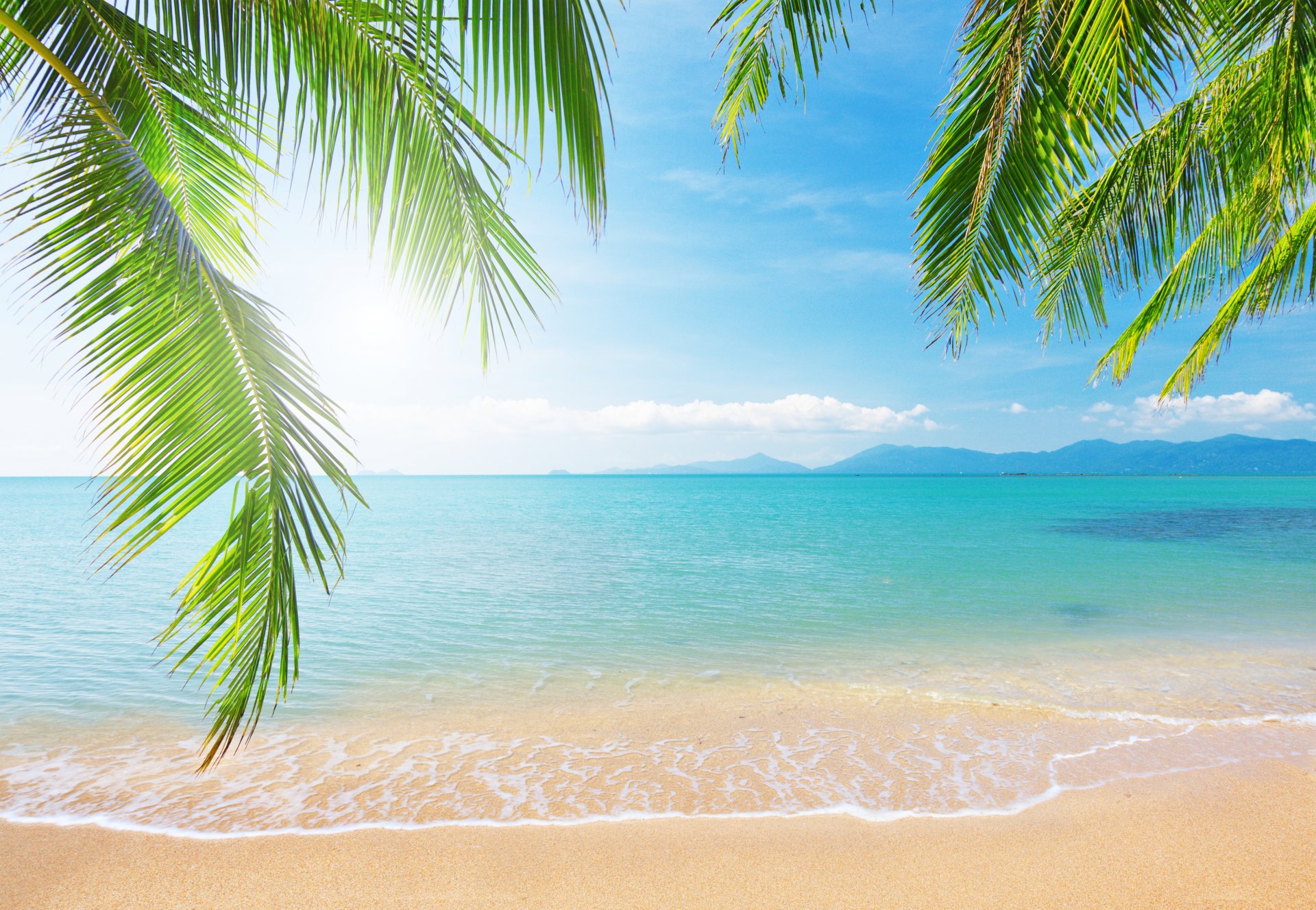 meer palme zweig natur landschaft himmel wolken tropical beach küste palmen zweige tropischer strand sonnenlicht