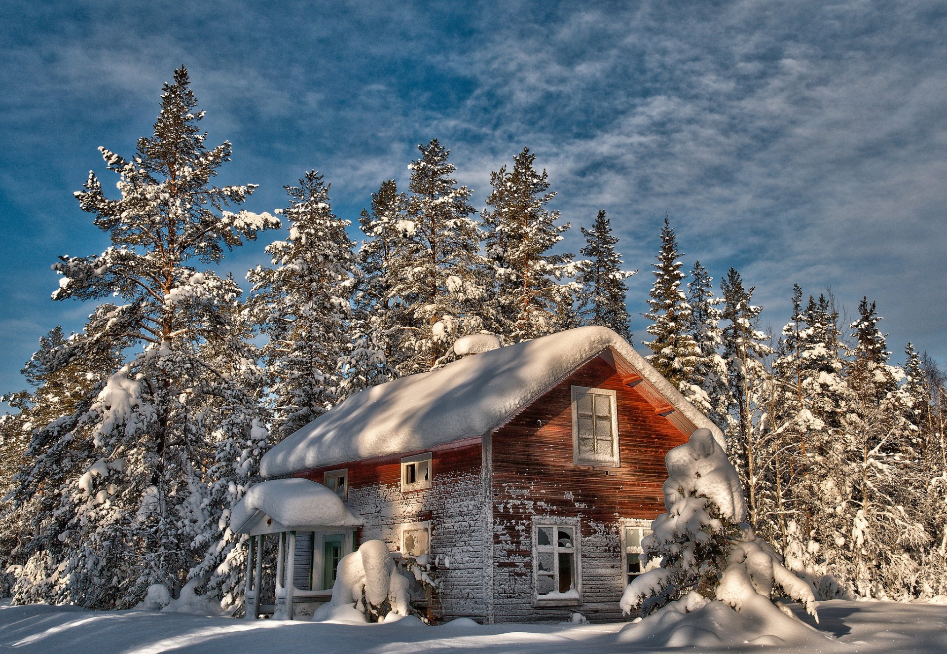 inverno neve alberi di natale alberi casa vecchio abbandonato