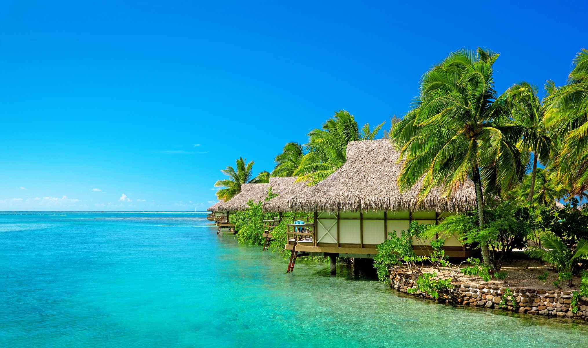 malediven meer himmel resort bungalow palmen strand abwärts wind