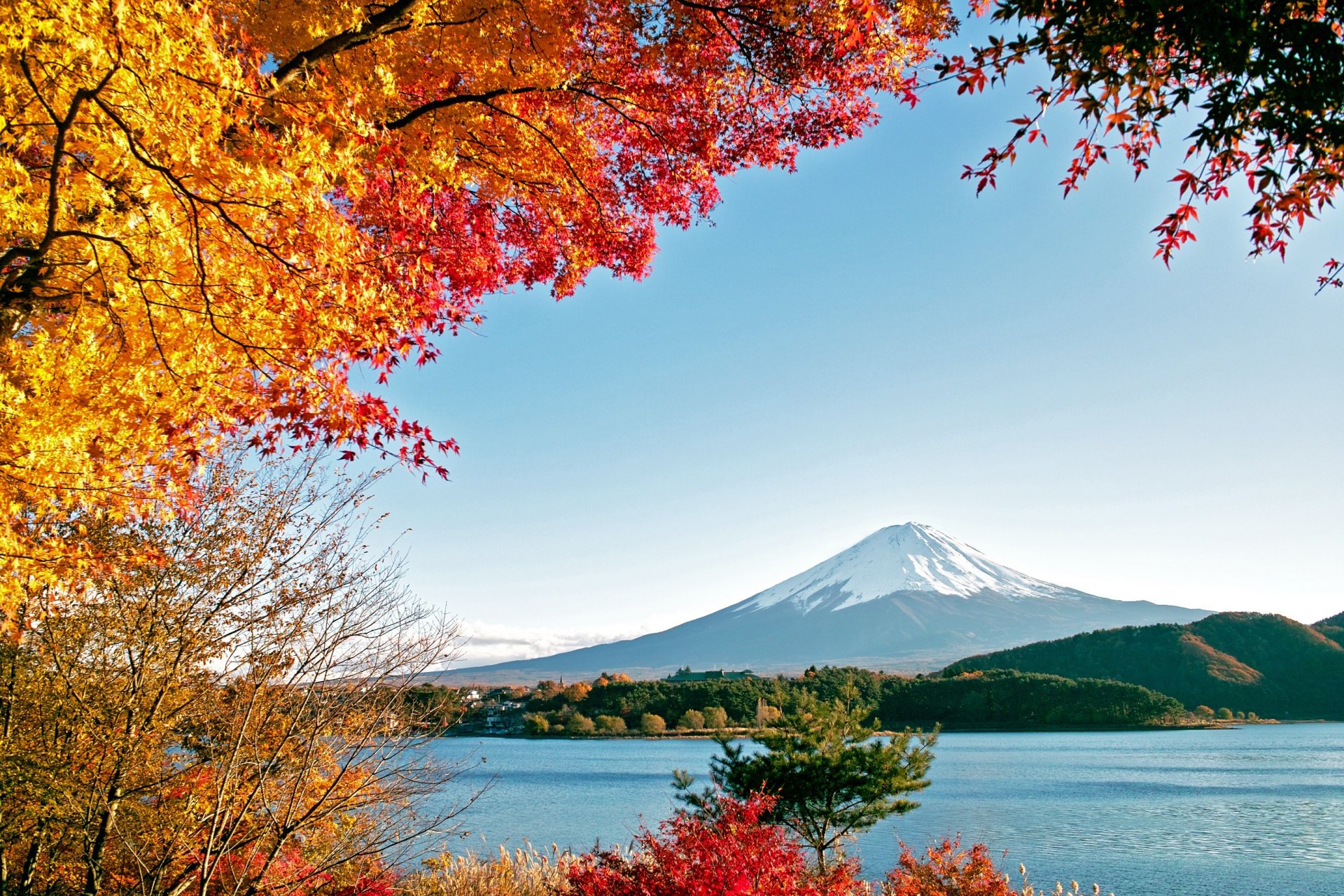 fujiyama jesień drzewa góry natura woda jezioro morze